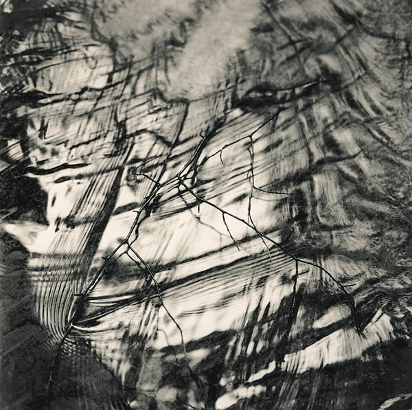 Branch In Quicksilver