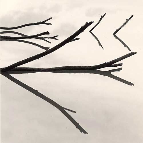 Branches, reflections and clouds