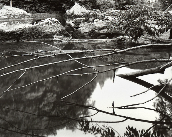 Branches, Slippery Rock Creek