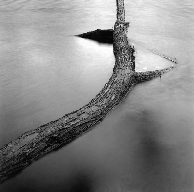 Branching out