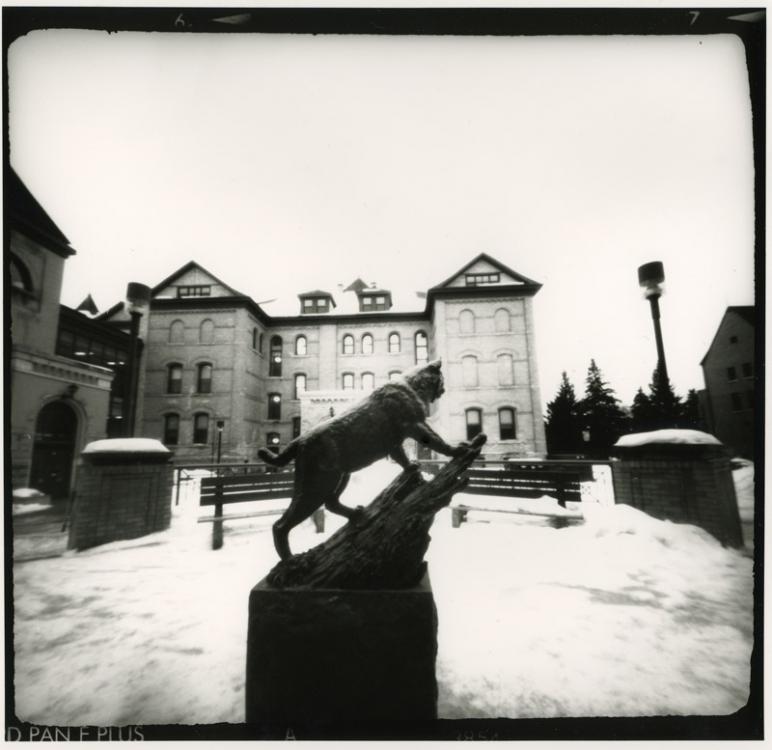 Brandon University, Courtyard