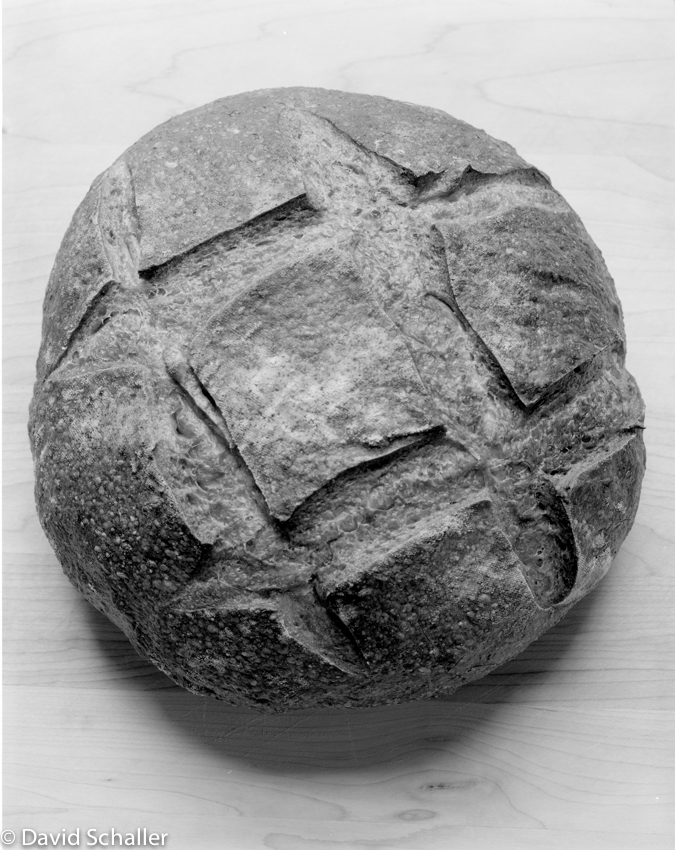 Bread