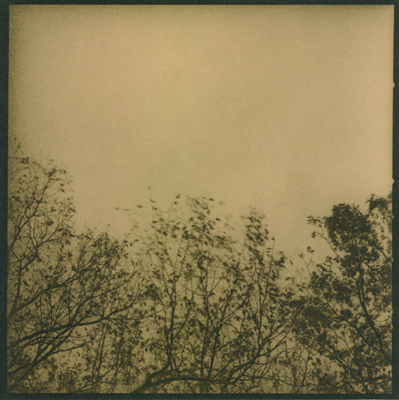 Breeze