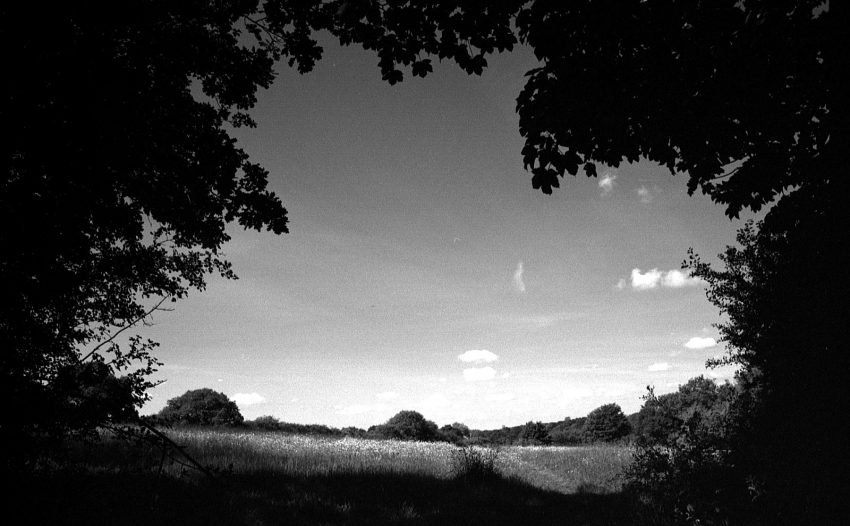 Brentwood 02