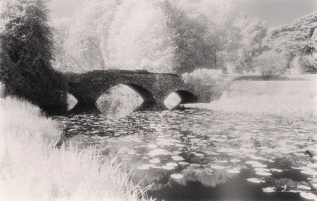 Bridge At Waverley Abbey