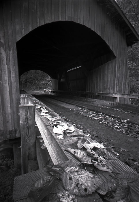 Bridge On Yachats River Road (5x7 Pinhole)