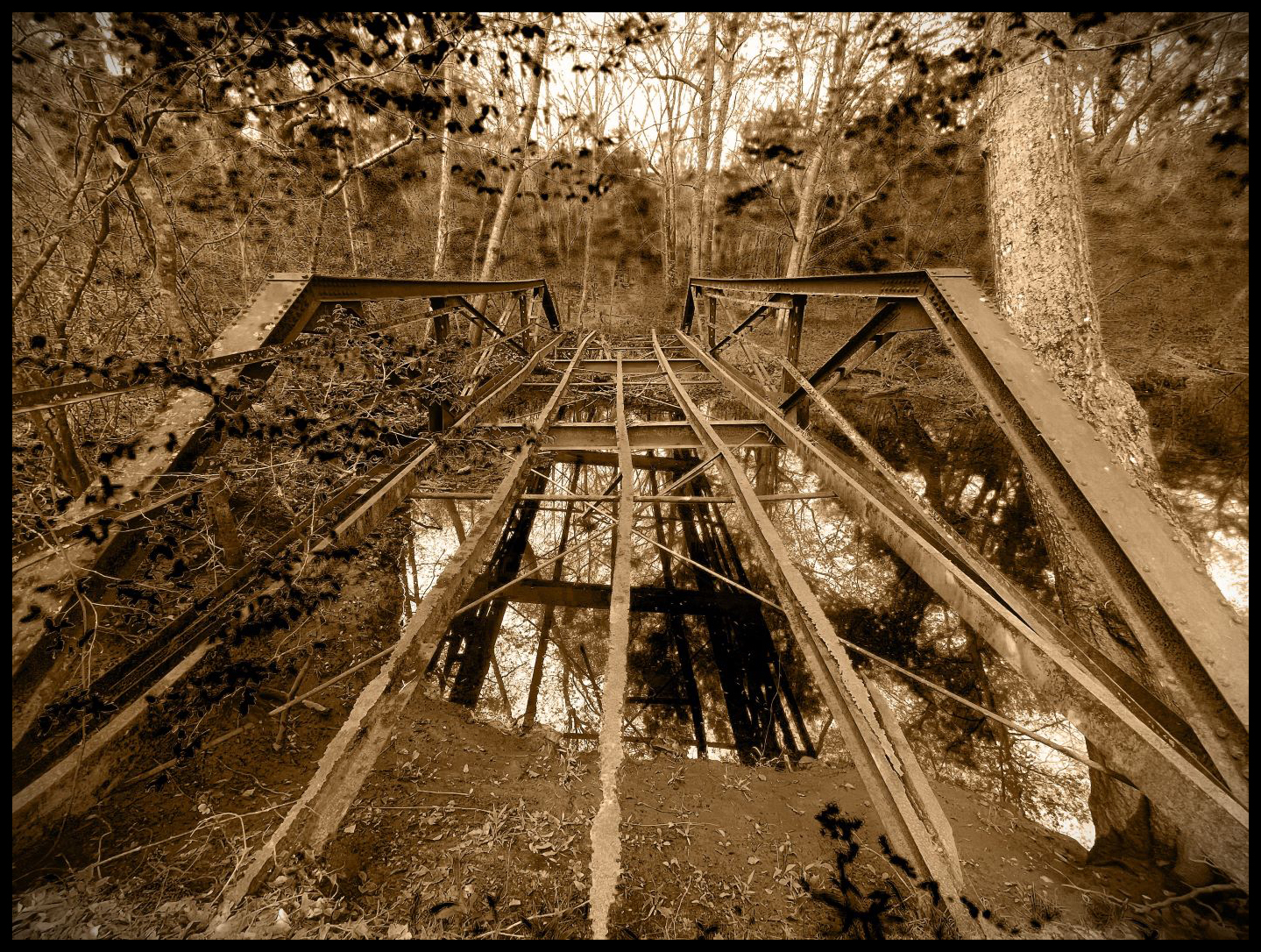 Bridge over Creek