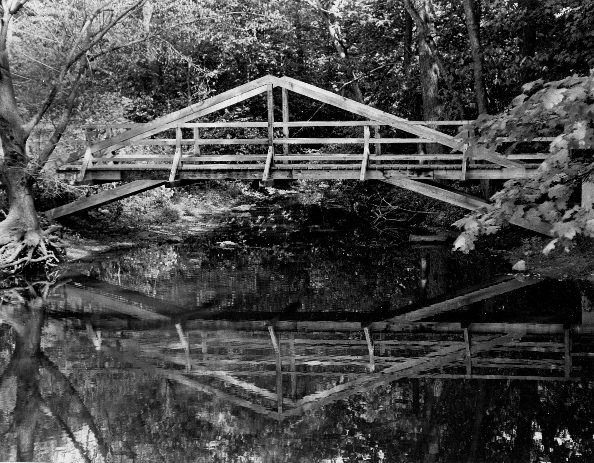 Bridge Reflection-1