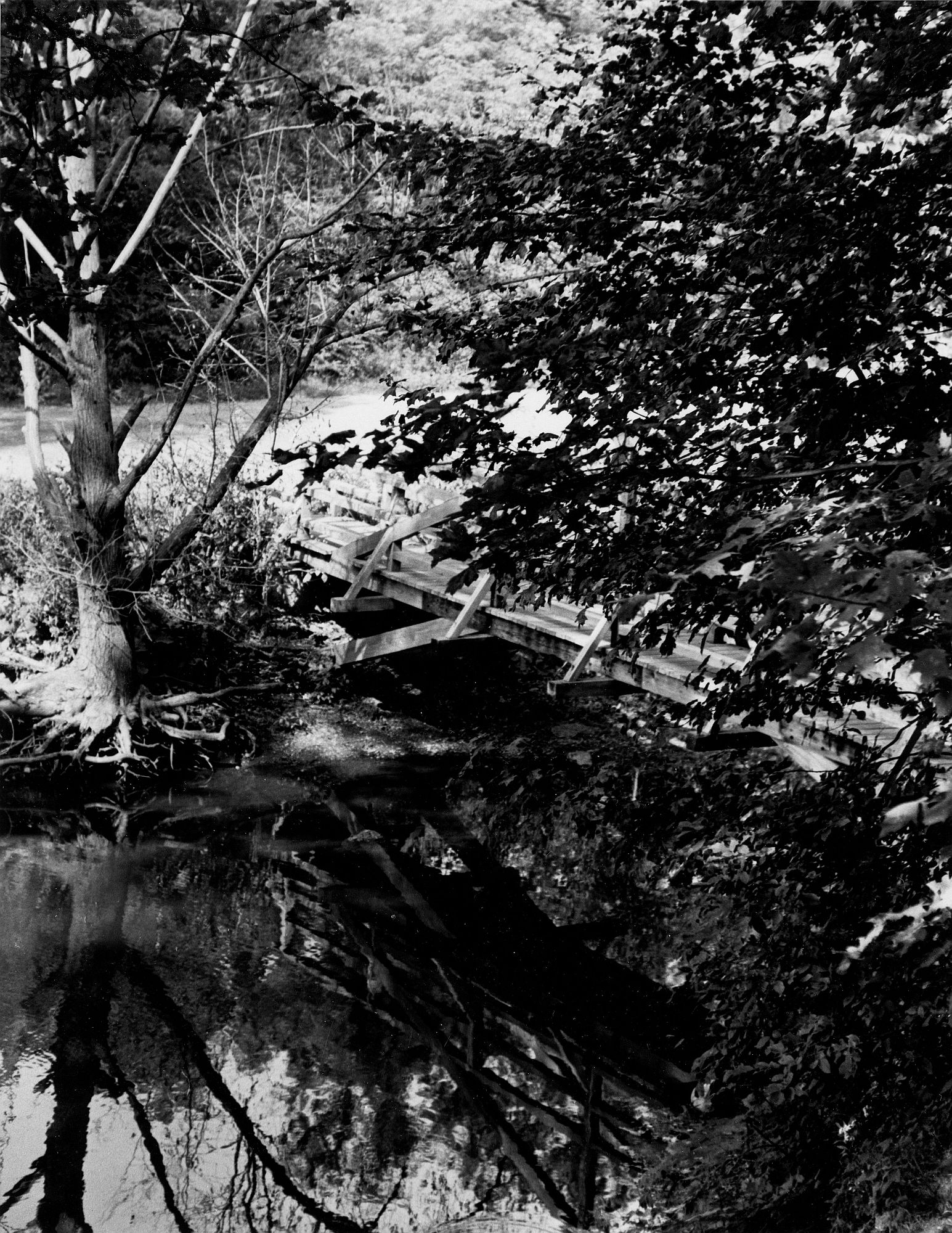 Bridge Reflection-2