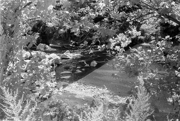 Bridge shadow