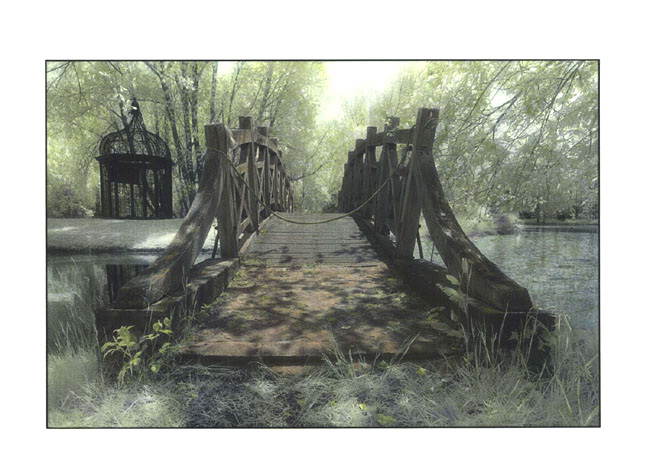 Bridge to the Aviary