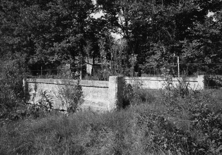 Bridge with Fence Thru It