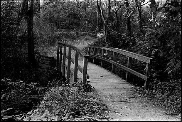 Bridge
