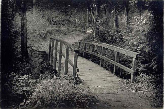 Bridge