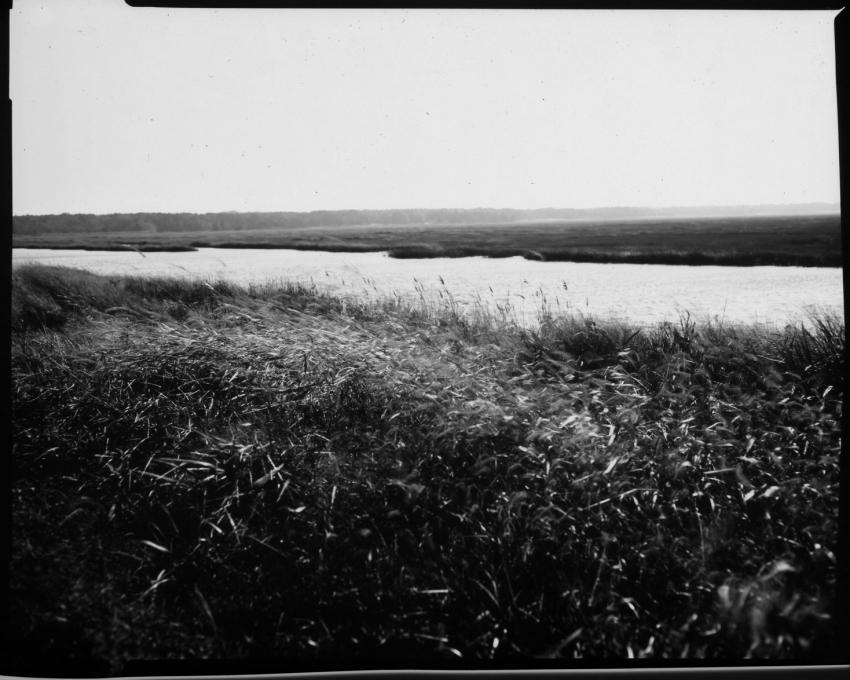 Brigantine, Nj, Paper Negatives