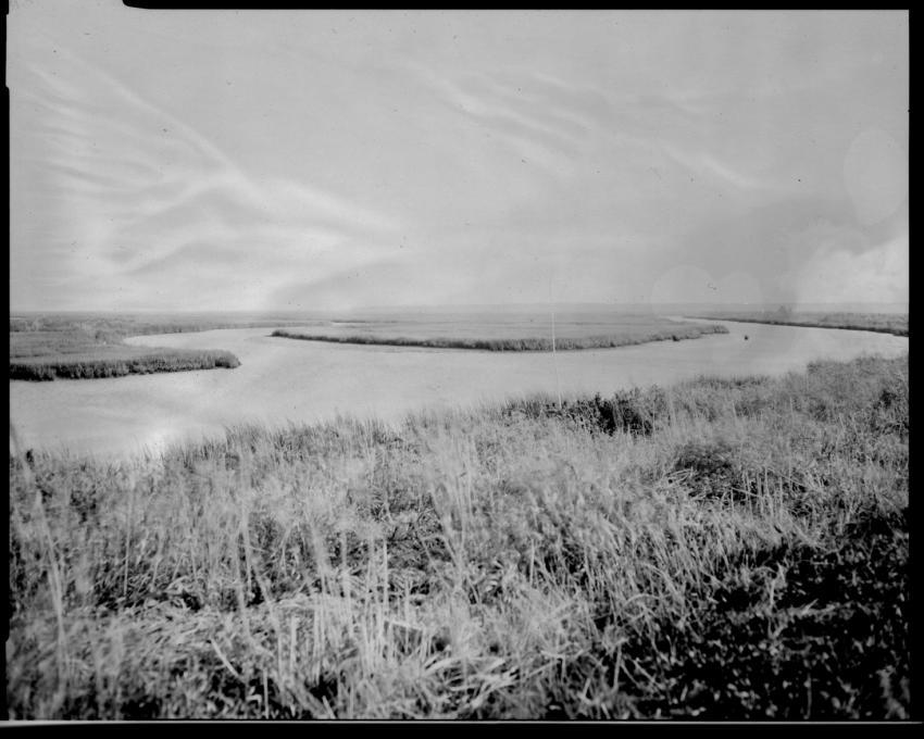 Brigantine, Nj, Paper Negatives