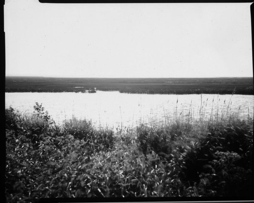Brigantine, Nj, Paper Negatives