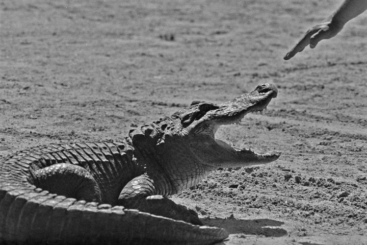 Brighton Seminole Reservation