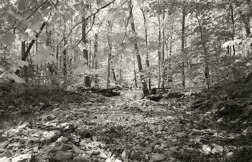 Brilliant Autumn