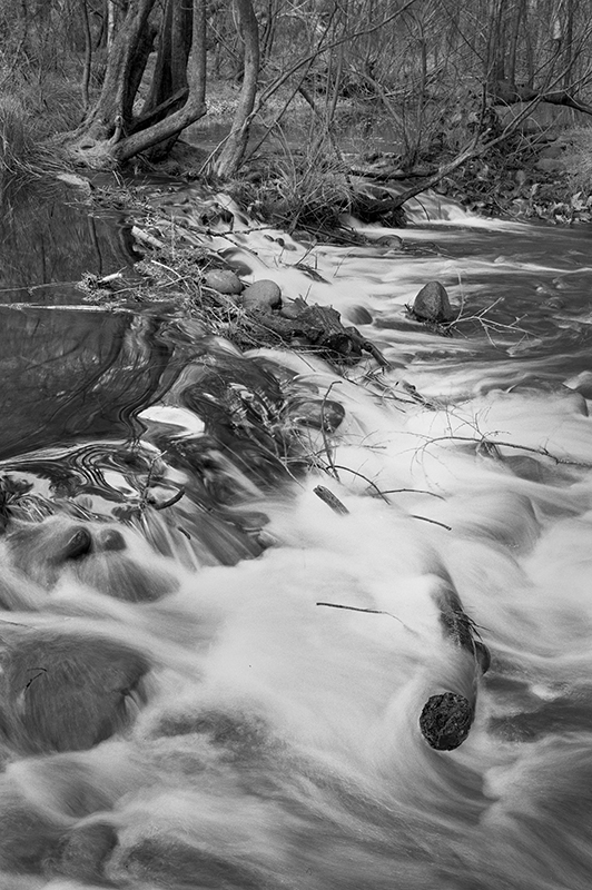 Brogo River.