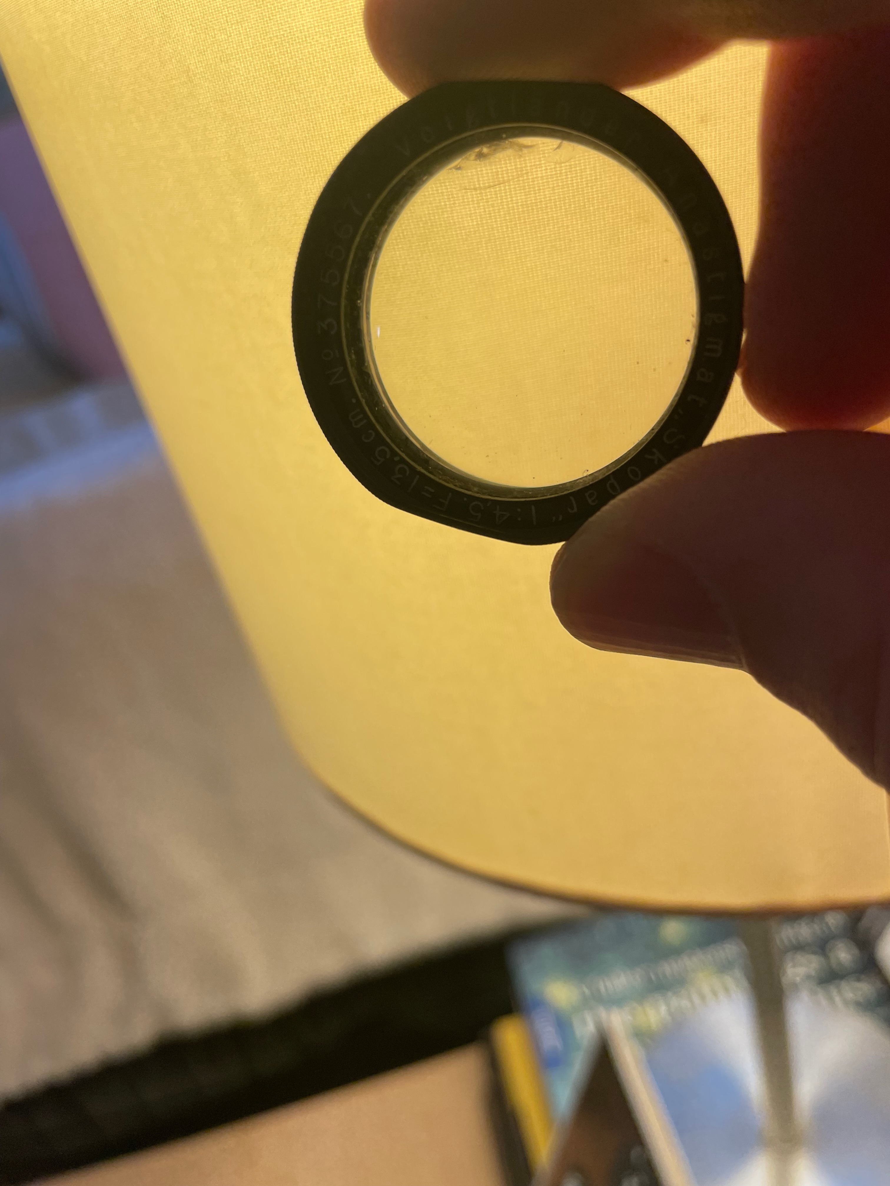 Broklen Lens - 2.jpeg