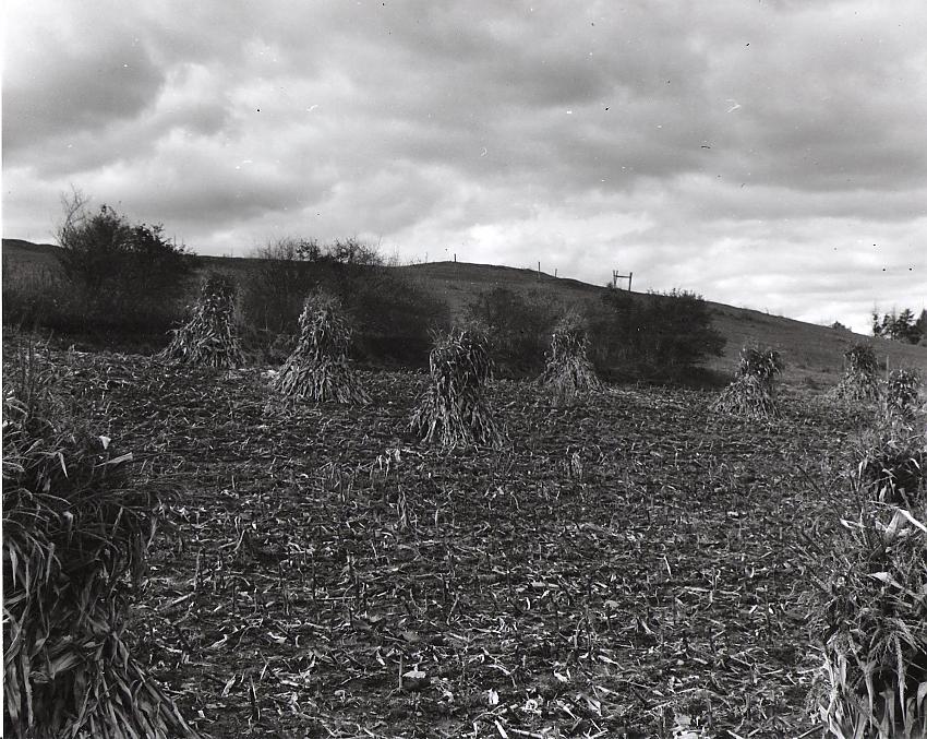 Brooding Hill
