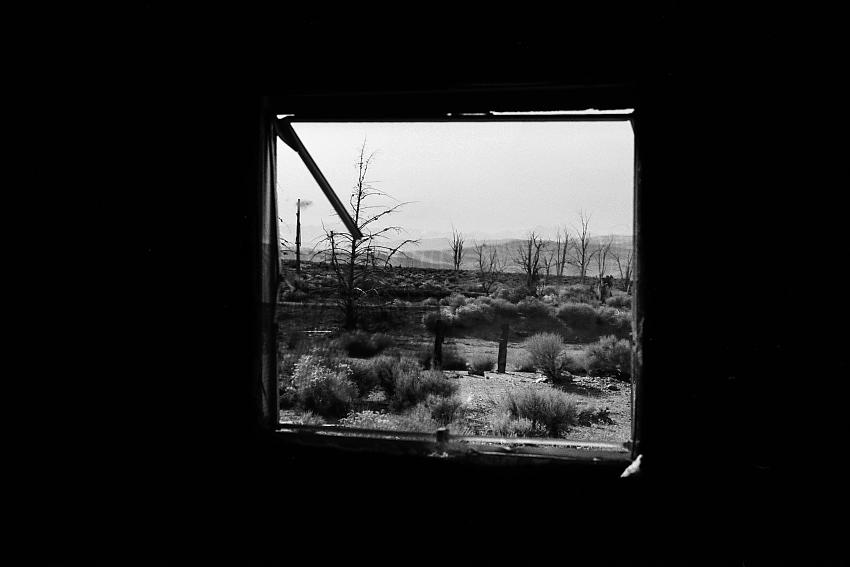 Brothel Window
