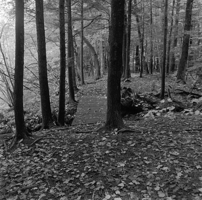 Bruce Eades Forrest