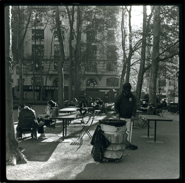 Brute in Bryant Park