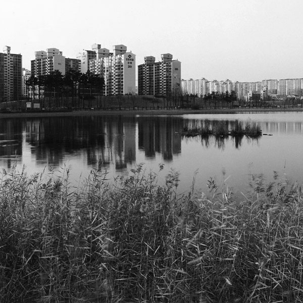 Bucheon Park Lake
