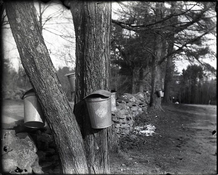 Buckets - Hand Coated Dry Plate