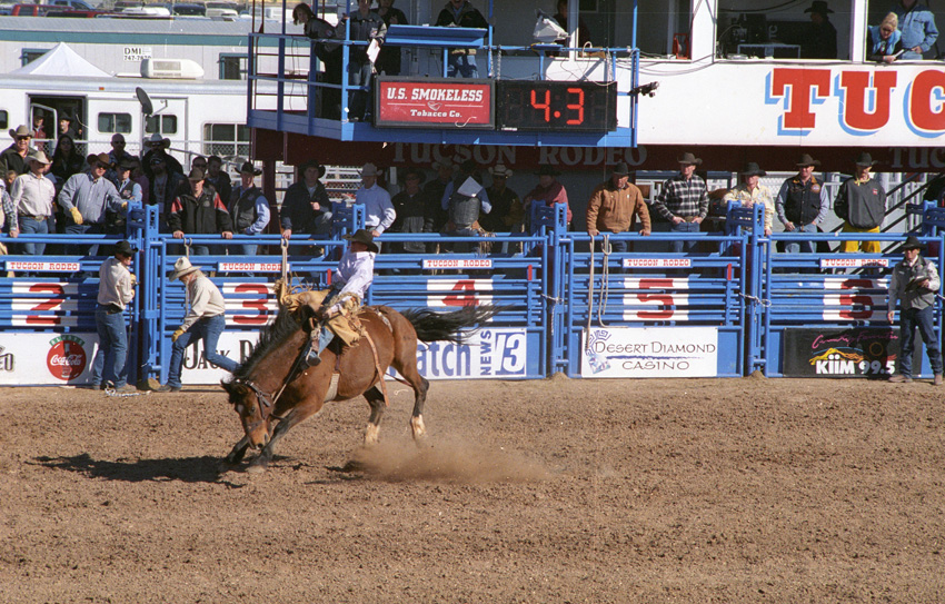 Bucking Bronco I
