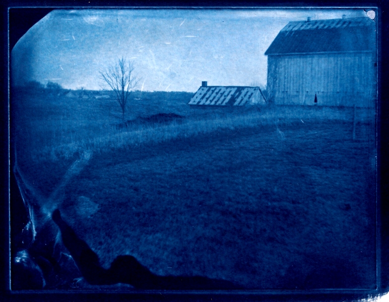 Bucolic View #2