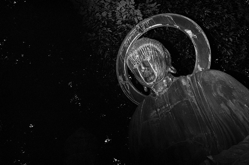 buddha at night