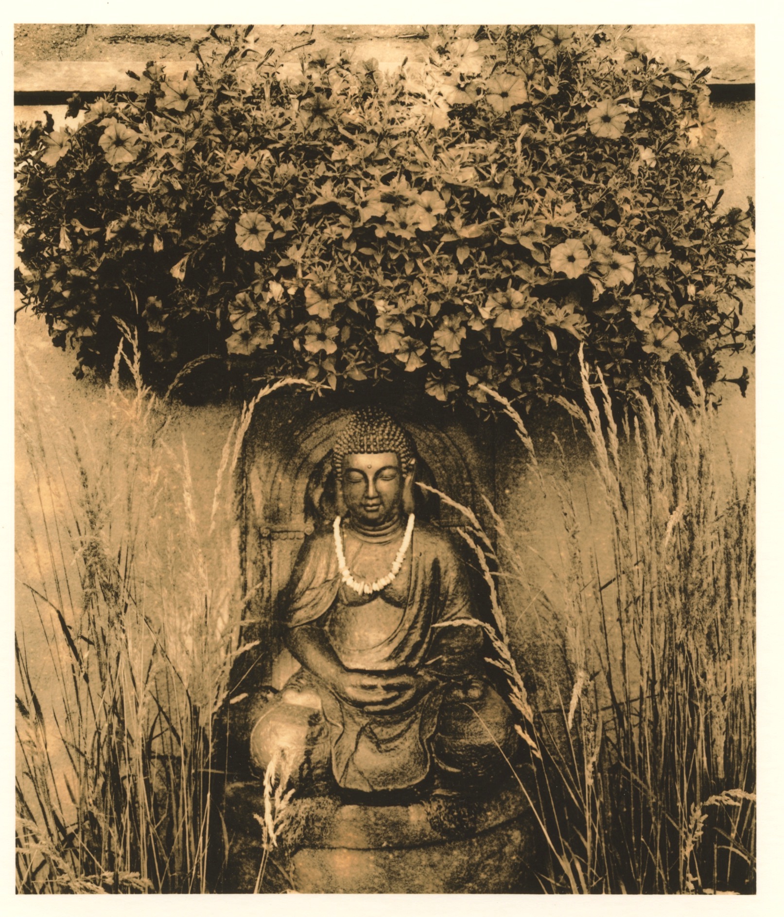 Buddha in the Garden