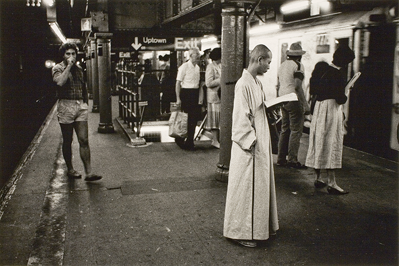 Buddha Waits