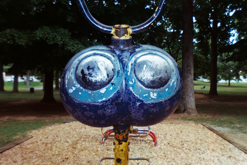 Bug Eyes