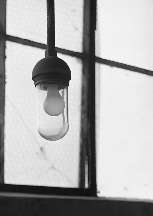 Bulb