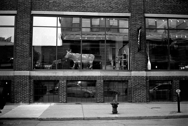 Bull in a China Shop