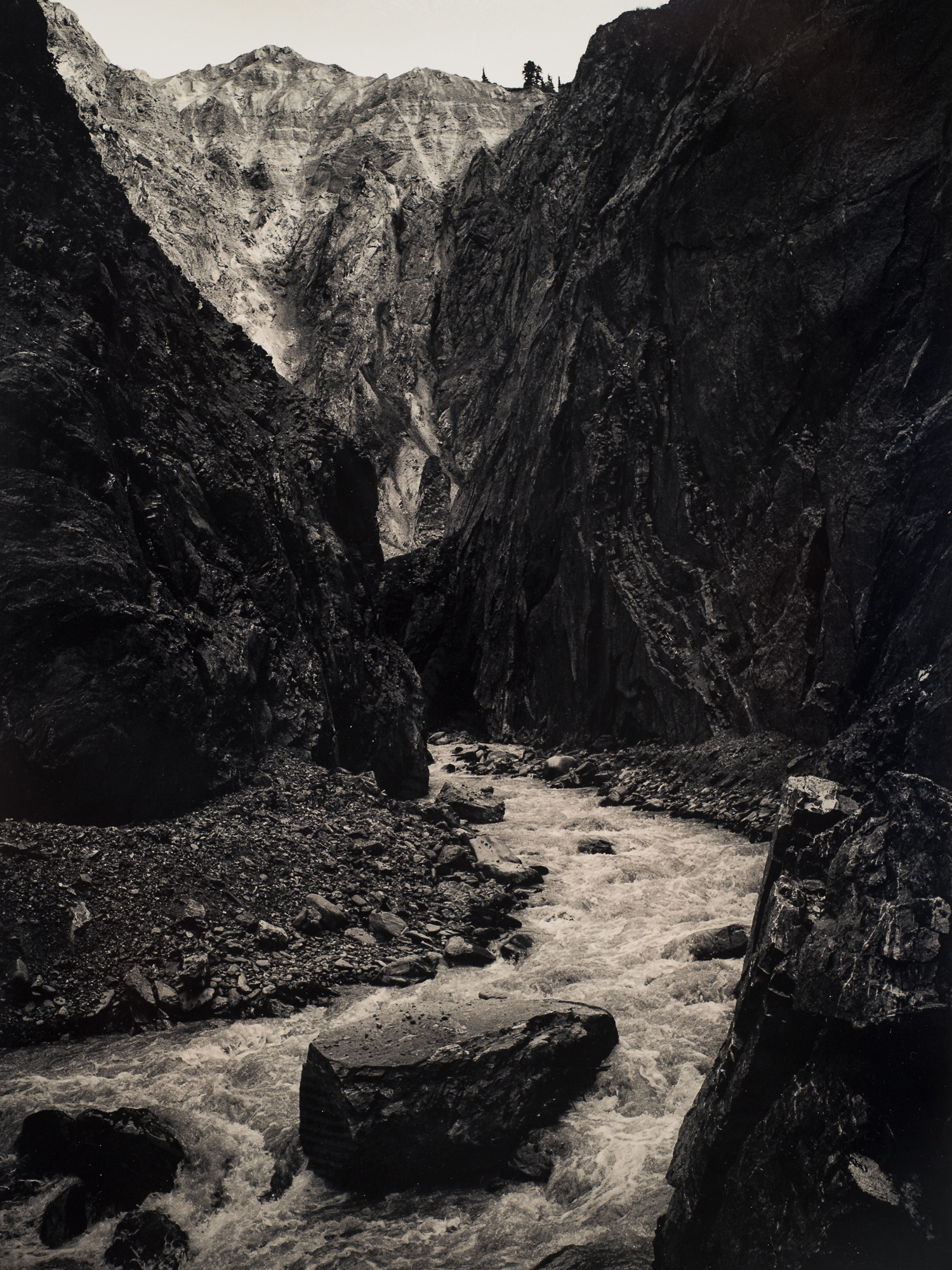 Bullion Creek, Kluane National Park