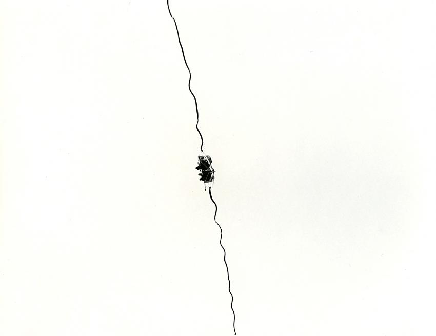 Bungee Sling