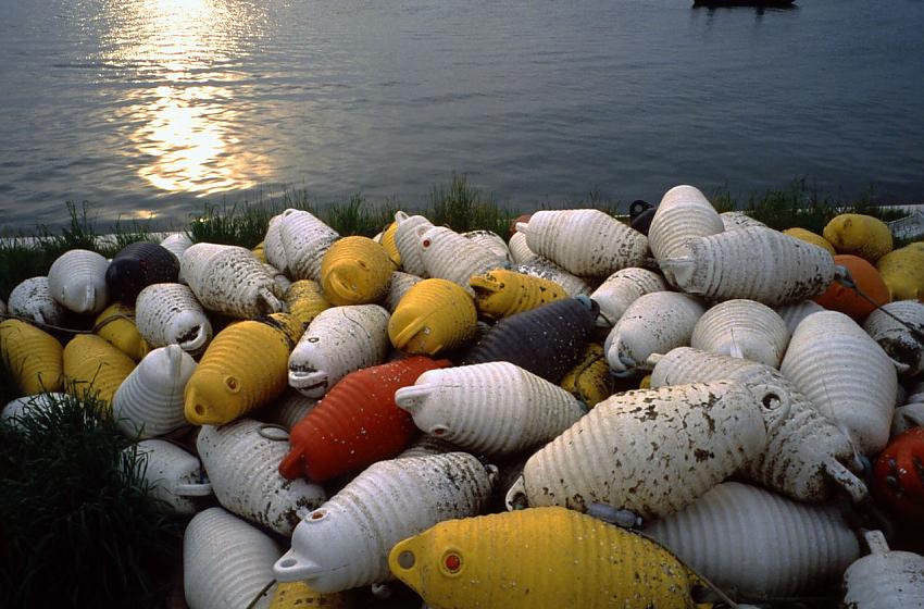 Buoys