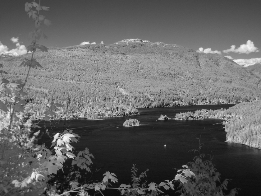Burnaby Mountain Vancouver BC 2