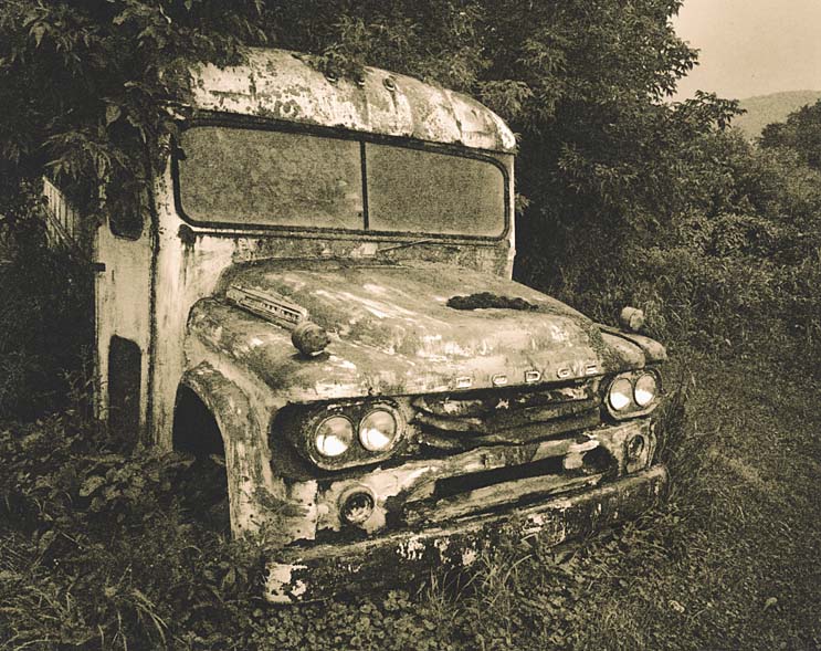 Bus
