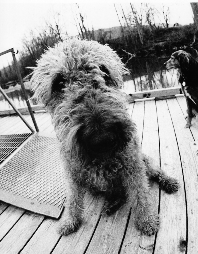 Buster