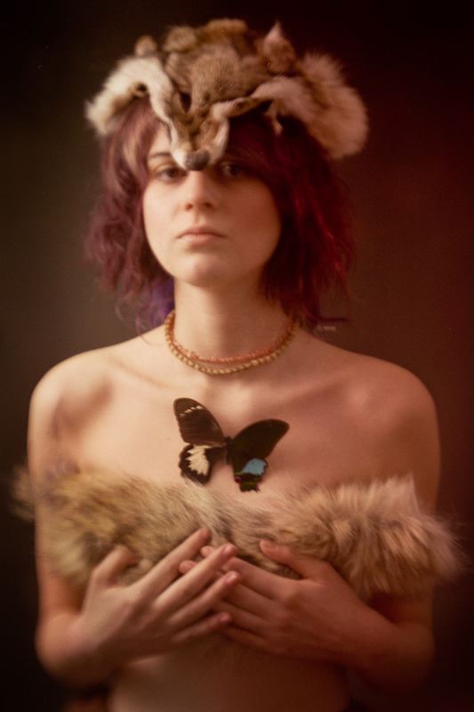 Butterfly and the Fox