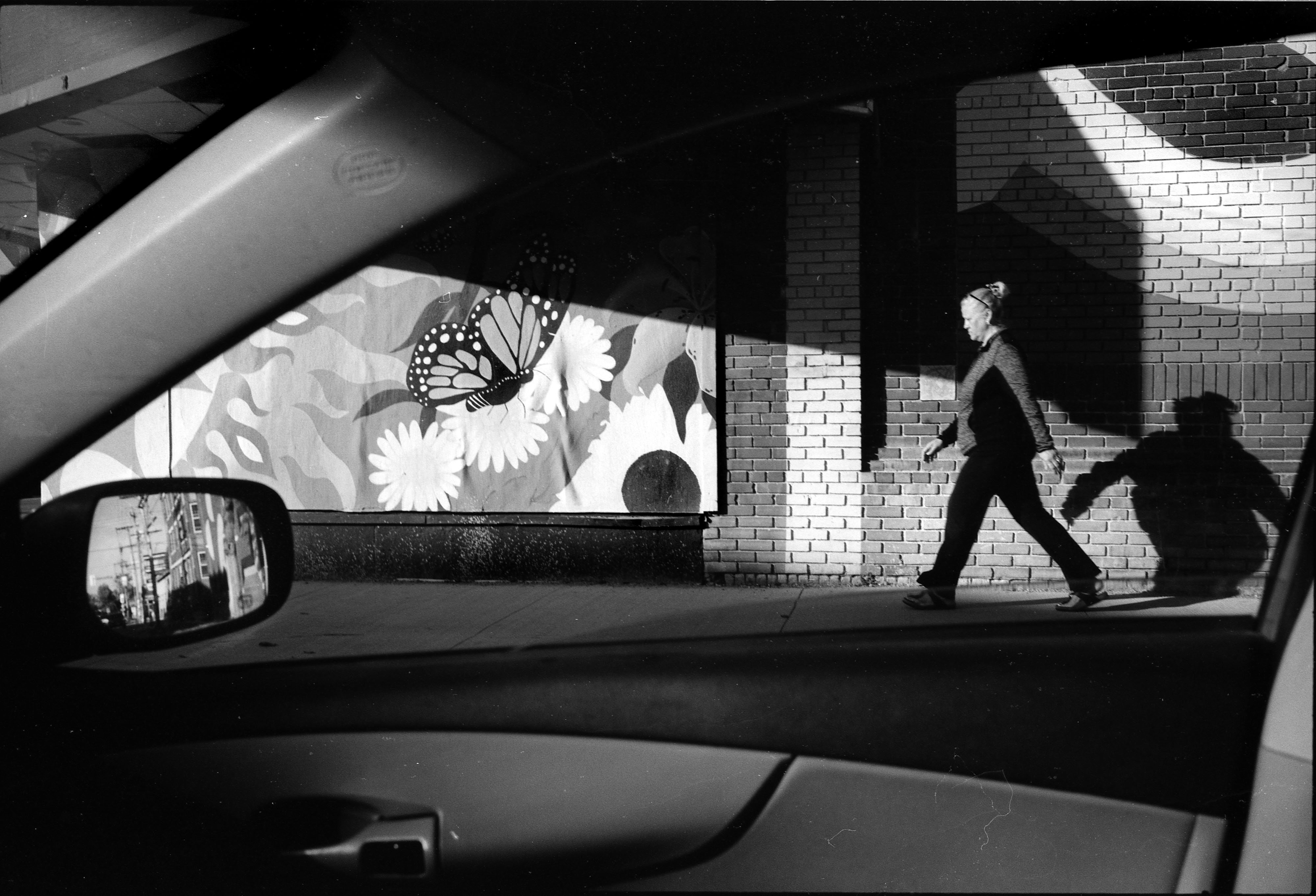 Butterfly strut
