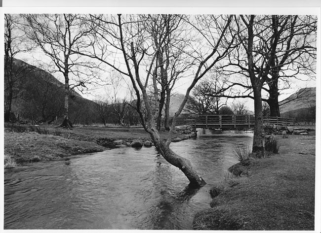 Buttermere Dubs
