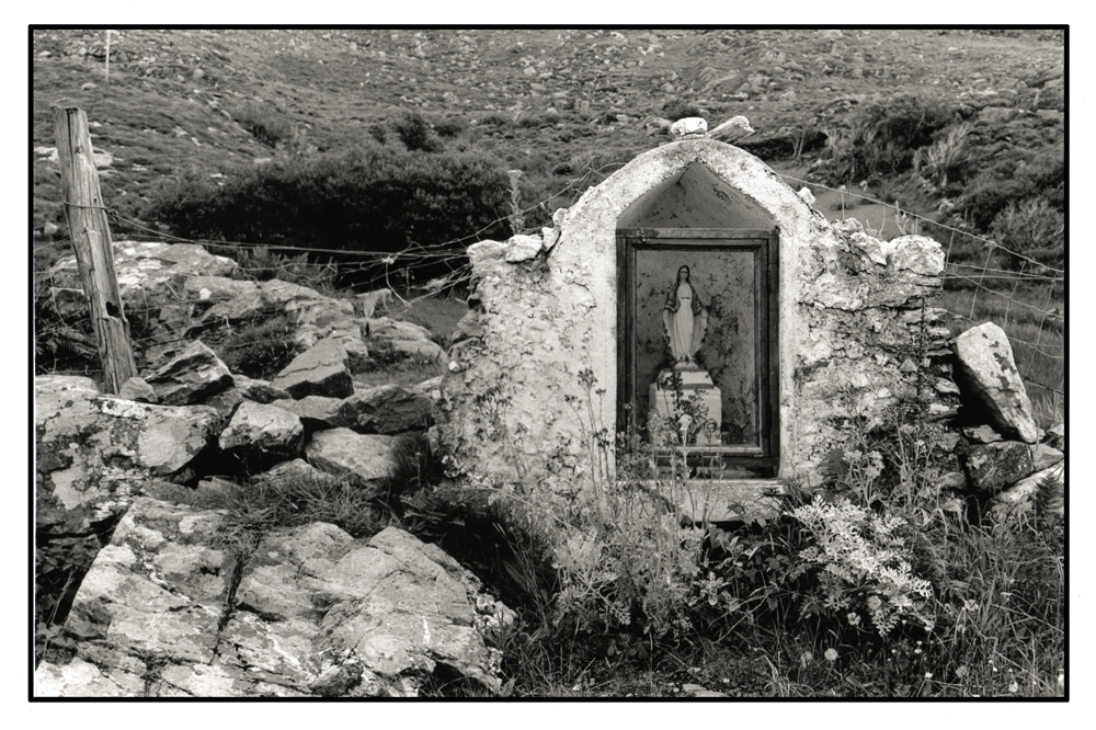 BVM