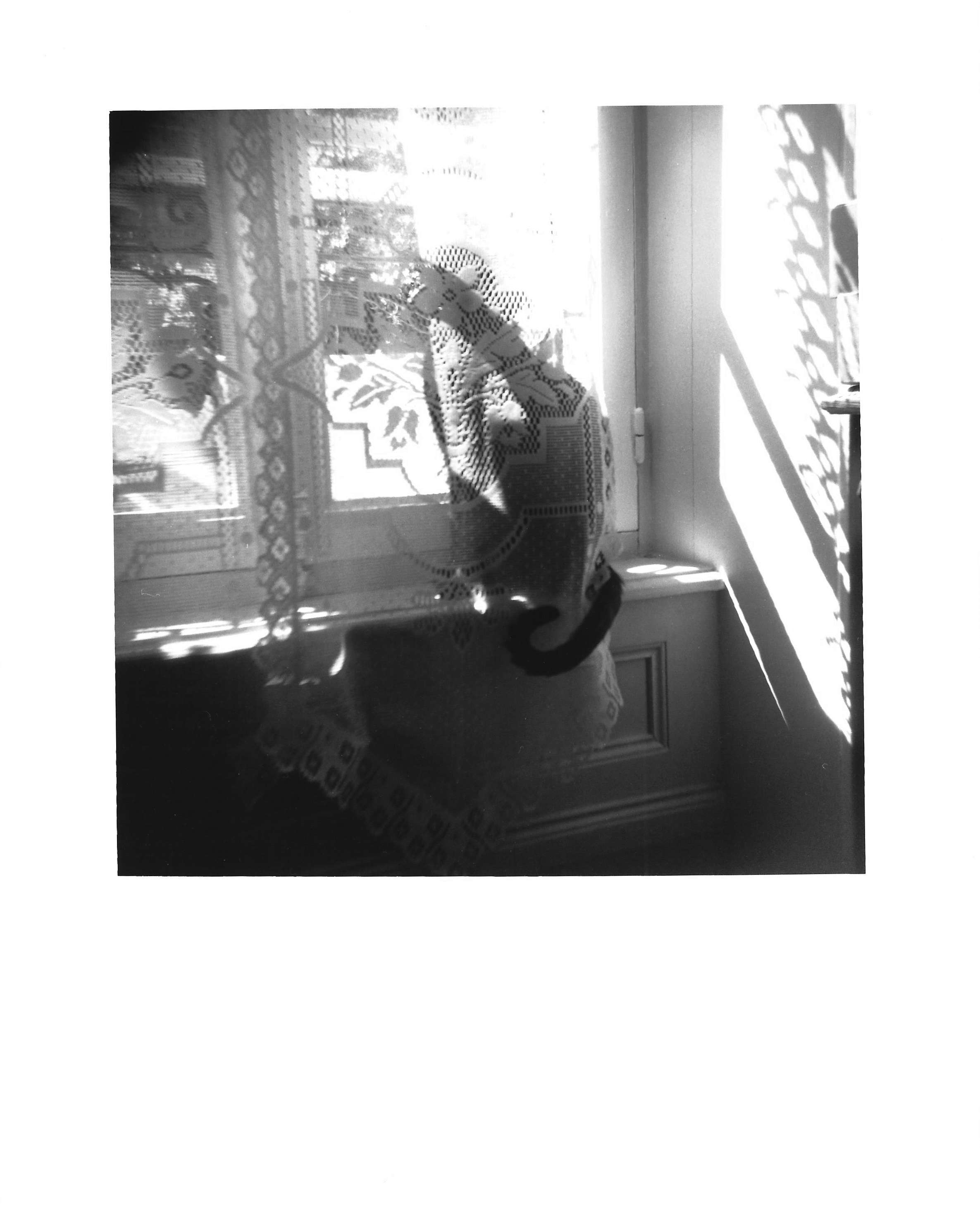 By the window